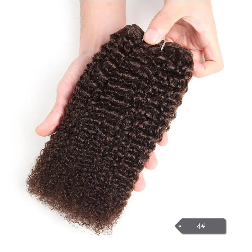 Sleek Afro Kinky Weave Curly Hair Peruvian Human Hair Weave Bundles Deal  #1B #2 #4 Brown Remy Hair Extension Free Shipping